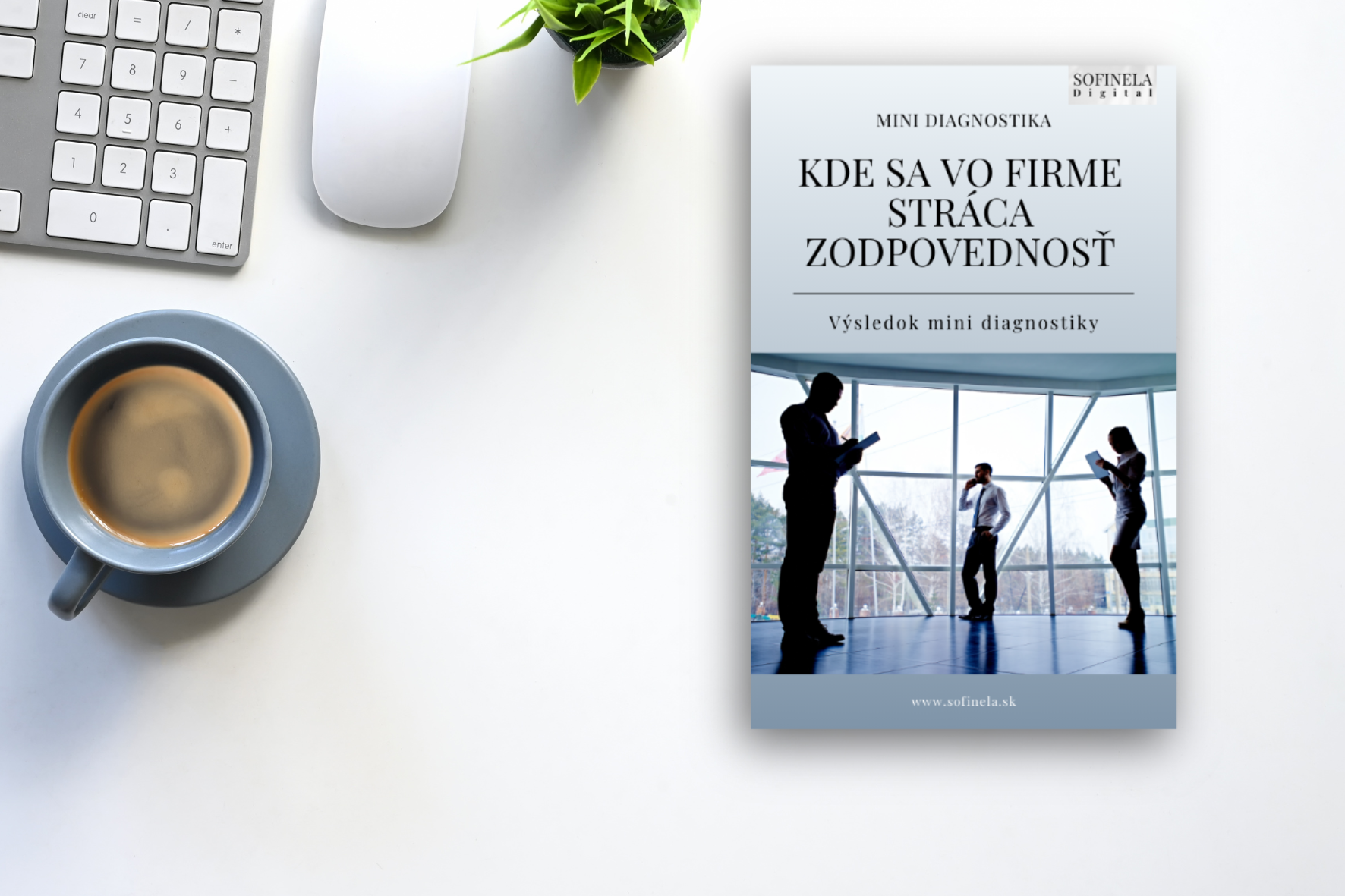 Efektívne procesy a digitálne nástroje pre malé firmy | Sofinela Digital